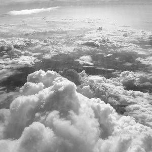 Meet your Posher, Leyli